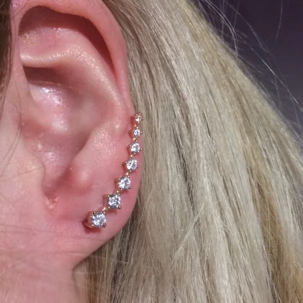 Rose Gold One Pair Новые Элегантные крылья в форме пера модные AAA кубический циркон серьги для Женская Сережка серьги мультяшный брелок лягушка Пепе CEP664 - Окраска металла: Rose Gold One Pair