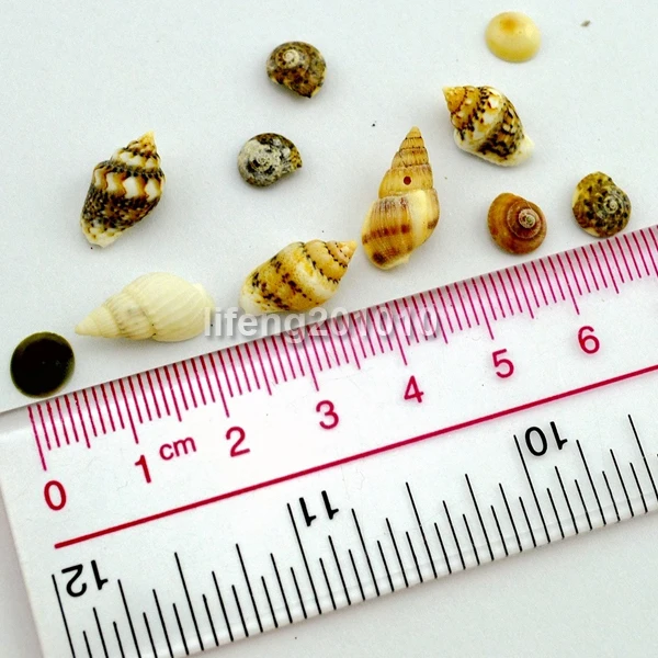 Маленький натуральный ракушка для ногтей акрилового дизайна инструмент