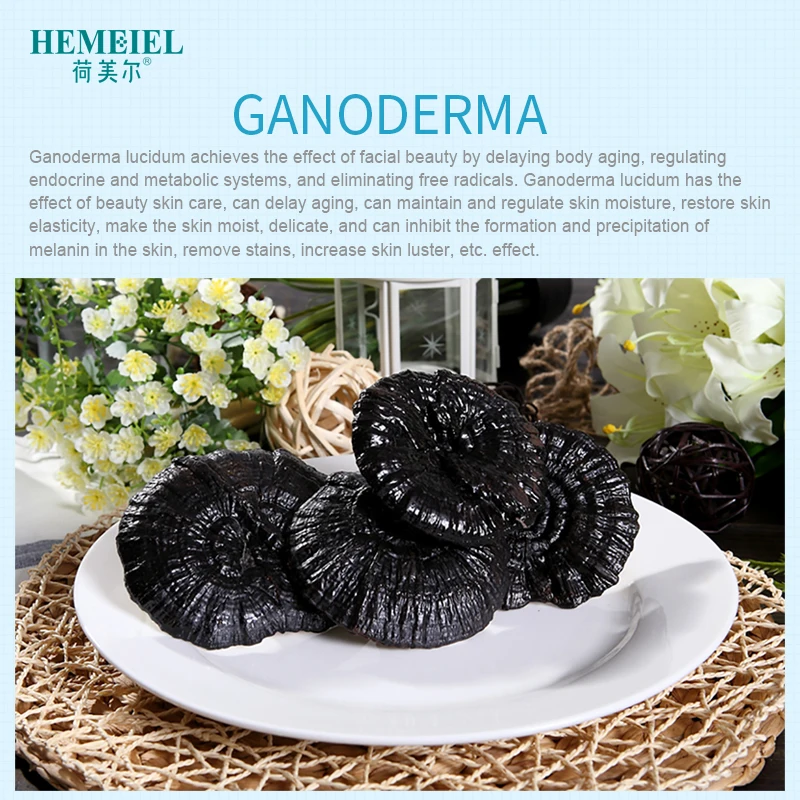 Восстанавливающая Сыворотка для лица HEMEIEL Ganoderma увлажняющая эссенция лечение