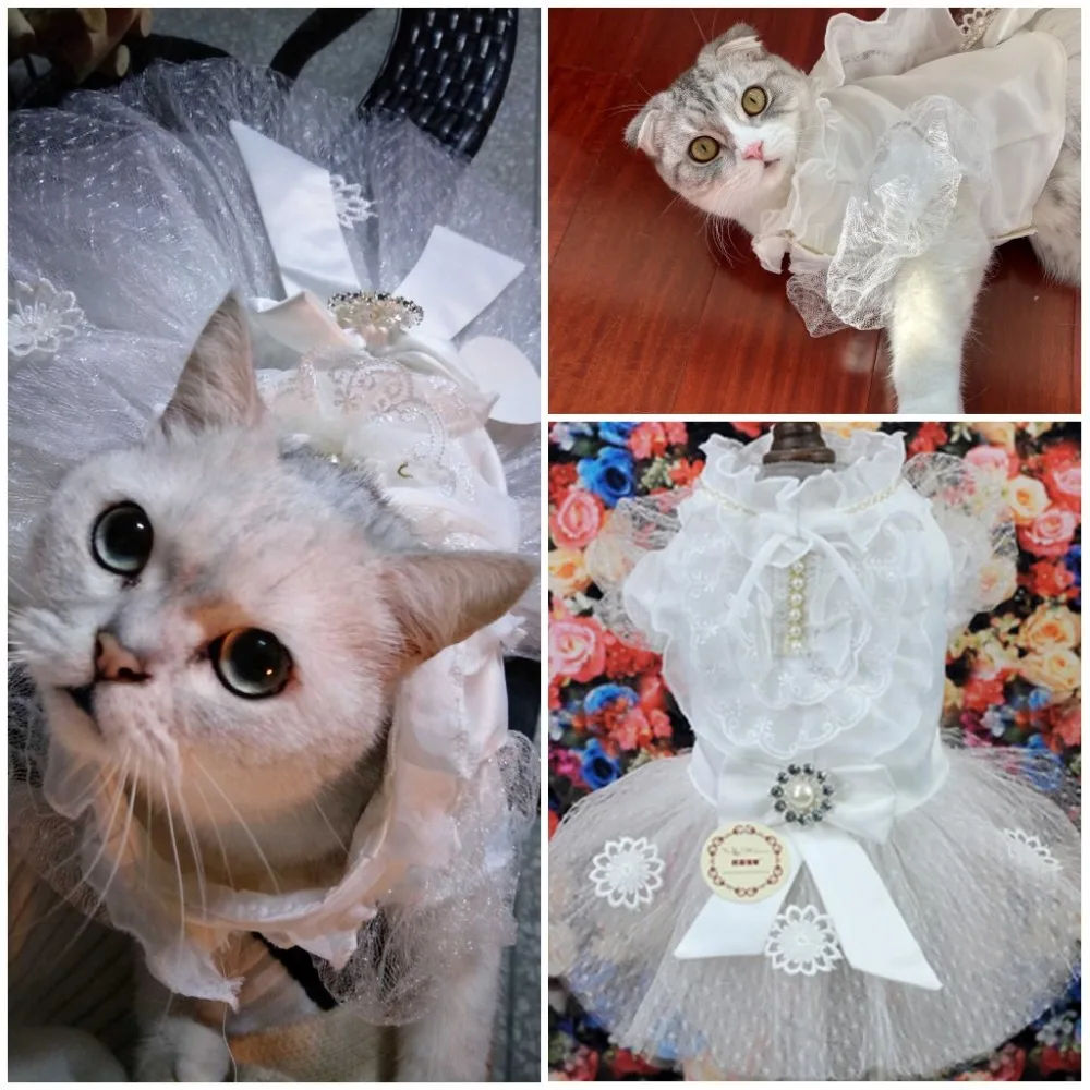 Маленький Кот Свадебные платья принцесса собака юбка с кошкой одежда для домашних животных маленькая собака одежда смокинг юбка для Невеста и жених