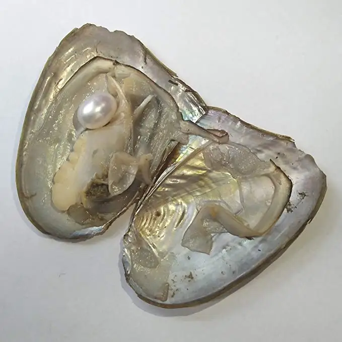 HENGSHENG 10 штук Пресноводный Культивированный Жемчуг Oyster 7-8 мм овальный жемчуг Oysters