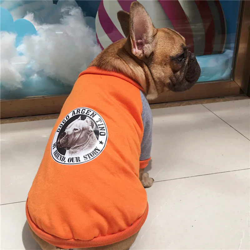 

A141 bulldog autumn sweatshirts dog autumn cotton clothes 2017 new style