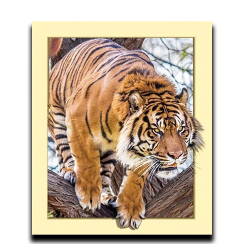 

DIY painting Diamond Cross stitch 3d diamond drill square Rhinestone Diamond Full mosaic full of Diamonds embroidered Tiger