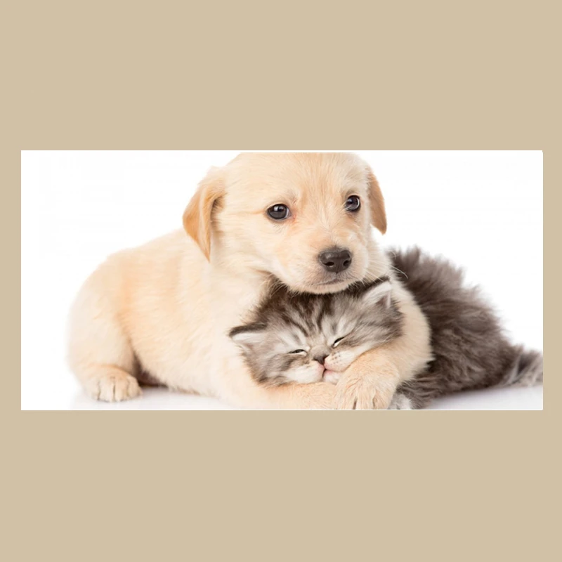 Полотенце из микрофибры для пляжа милое пляжное полотенце с изображением котят