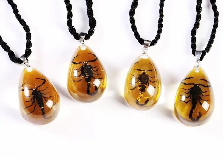 

50 PCS real insect black dark scorpion warm colour drop pendant specimen