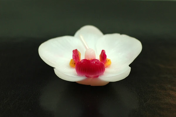 (Упаковка из 10 свечей) Милые свечи фаленопсис Свадебные вечерние подарки на день