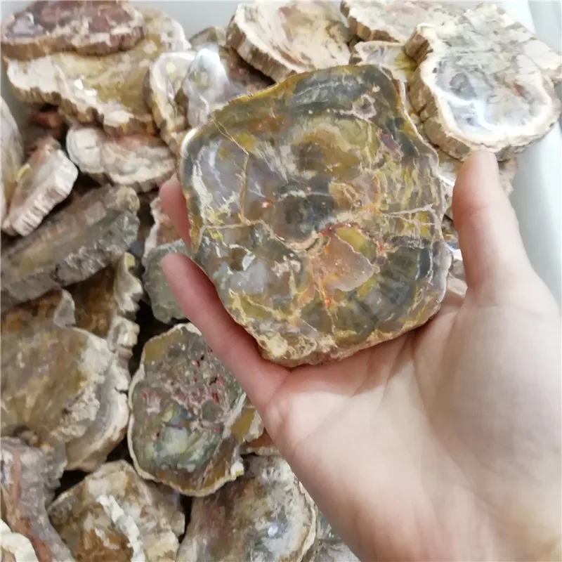 Натуральный Полированный кварцевый кристалл из микросекции петрифицированная