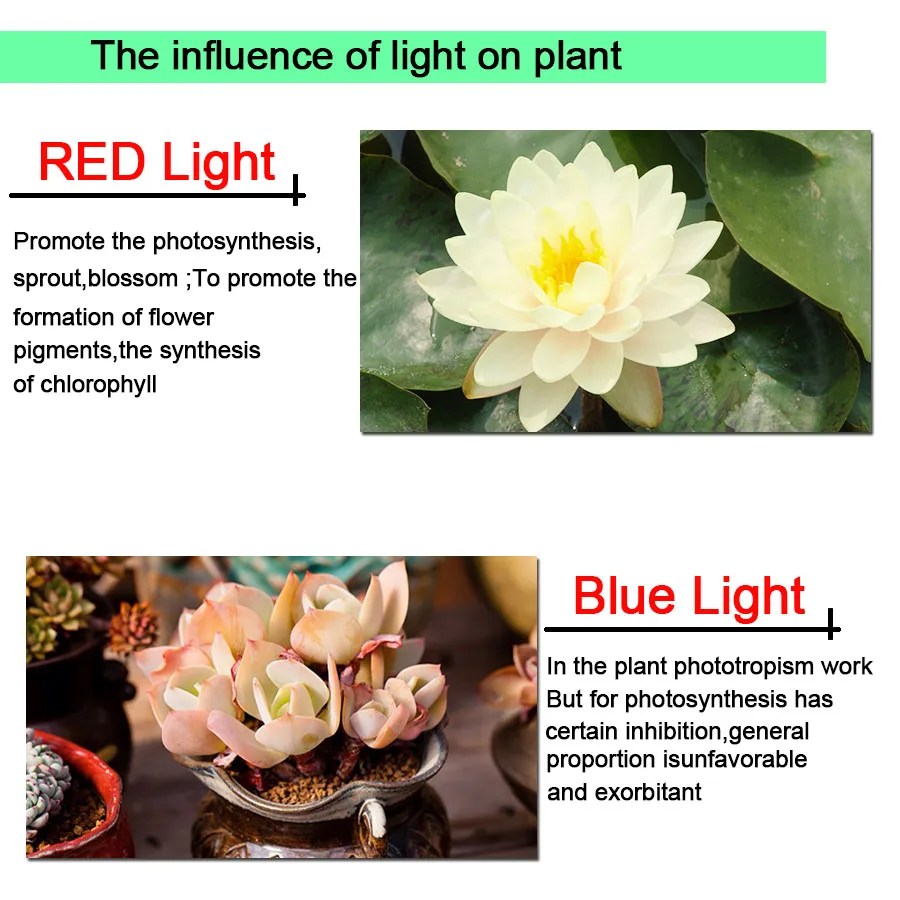 60 Светодиодный светильник для выращивания полного спектра AC 220V 5W E27 лампа цветов