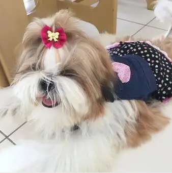 Супер симпатичные джинсы одежда для собак костюм новый животных милый форме