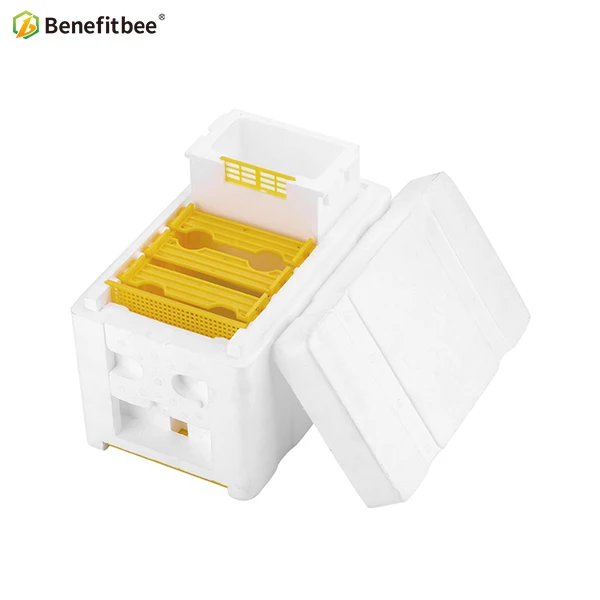 bee queen hive box Пчеловодство пчелиный улей коробка для сбора урожая улей королева вязка улей выгода бренд королева вязка улей инструмент для пчеловодства - Цвет: bee queen hive box