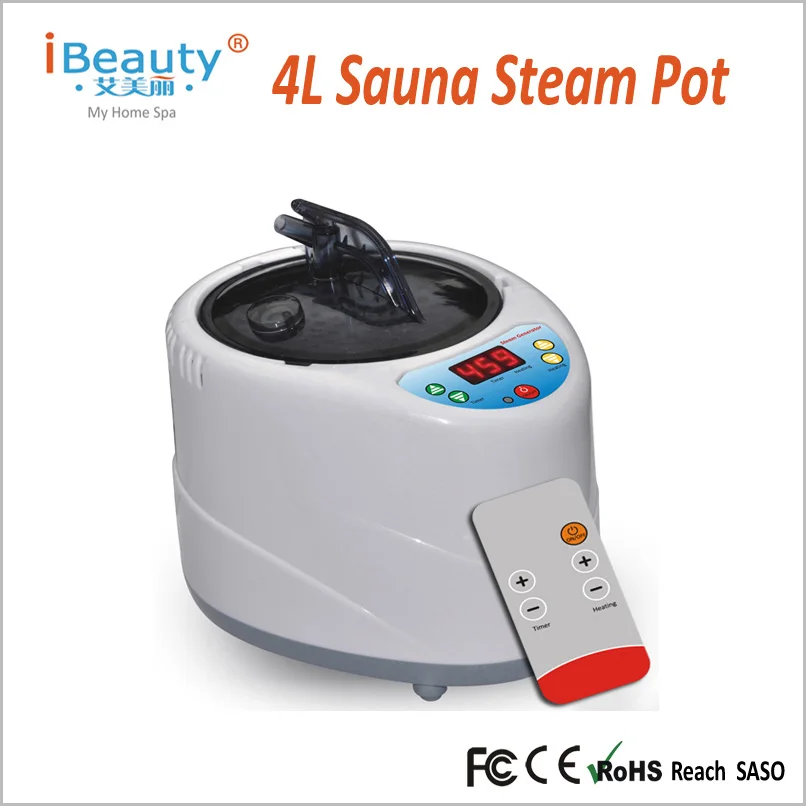 Паровой горшок для сауны 4LMini 220 В/110 В с вилкой Стандарта ЕС/США 2000 Вт генератор