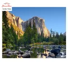 Набор для вышивки Golden Panno, Набор для вышивки крестиком DMC 14CT, картина для вышивки крестиком 0119