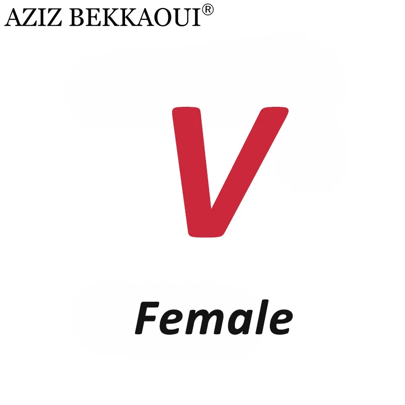 Female V AZIZ BEKKAOUI DIY обслуживание на заказ специальный зимний подарок для друзей, любимых подарок на день Святого Валентина Прямая поставка 3040-49 - Окраска металла: Female V