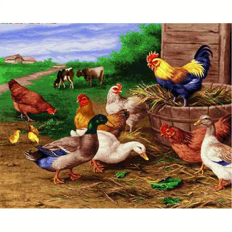 Алмазная вышивка сельская птица петух сделай сам алмазная живопись 3D квадратная