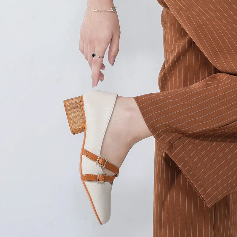 18 лет сезон осень Новинка женская обувь на высоком толстом каблуке Туфли Mary Jane с закрытым носком Популярная