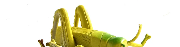 Моделирование модели животных фигурка Стрекоза муравей Жук Насекомое Миниатюрный Сад украшение дома аксессуары детские игрушки подарок