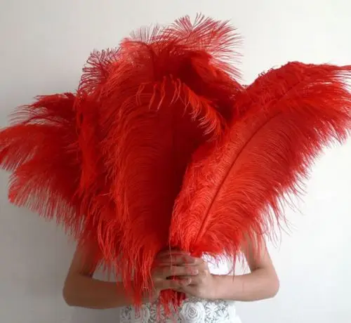 

50 PCS natural red ostrich feathers 50 to 55 cm / 20 to 22 inches ostrich plume wedding decoration
