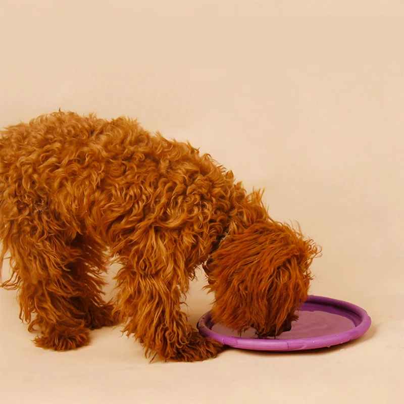 pet rubber flying discs molars Tooth Cleaning for cats and dogs Teddy training toys.PetStreet Dog Toys | Дом и сад
