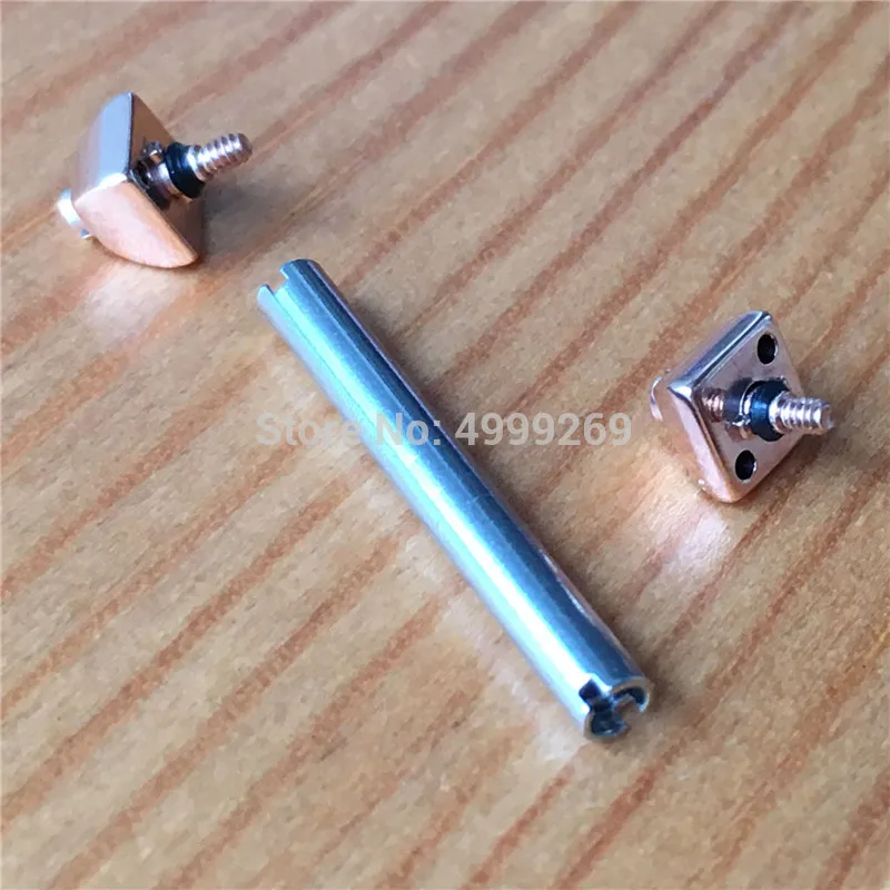 19mm rose gold color 16-22 мм стальной винт трубка для Cartier Pasha часы ремешок Браслет Соединительный винт бар части - Цвет: 19mm rose gold color