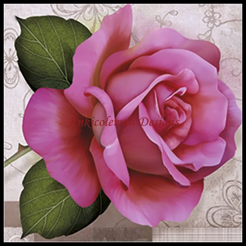 

Needlework for embroidery DIY DMC High Quality - Counted Cross Stitch Kits 14 ct Oil painting - Rosa Clara