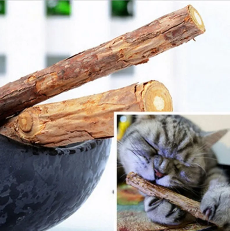 Новое поступление, 5 шт., для домашних животных, кошек, котят, жевательная палочка, игрушка, натуральный мататаби, полигама, кошачья мята, молярная игрушка
