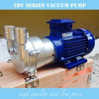 10 discount stainless steel material 2bv2060 water ring vacuum pump on sale