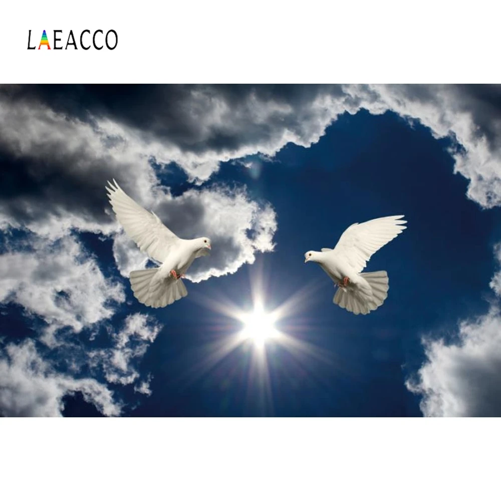 Laeacco фоны для фотосъемки с голубым небом белыми облаками солнцем голубем