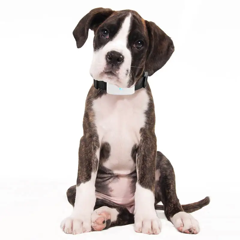 Gps-трекер для кошек и собак tk911 водонепроницаемый локатор с gps-трекером Wi-Fi