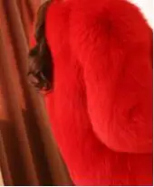 Big red Новинка, высококачественное меховое пальто, искусственный мех, длинная часть, толстая, теплая, цельная кожа, Лисий мех, мех, капюшон, пальто для женщин - Цвет: Big red