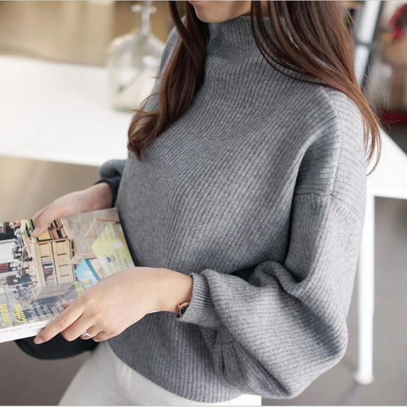Autumn Winter Sweaters Women 2017 Solid Color Casual Sweater High Quality Turtleneck long Sleeve Loose Batwing | Женская одежда