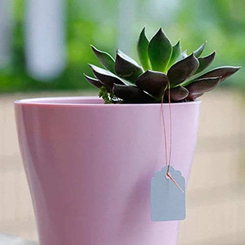 100 шт водонепроницаемые полосы линии садоводства надписи подвесные бирки для