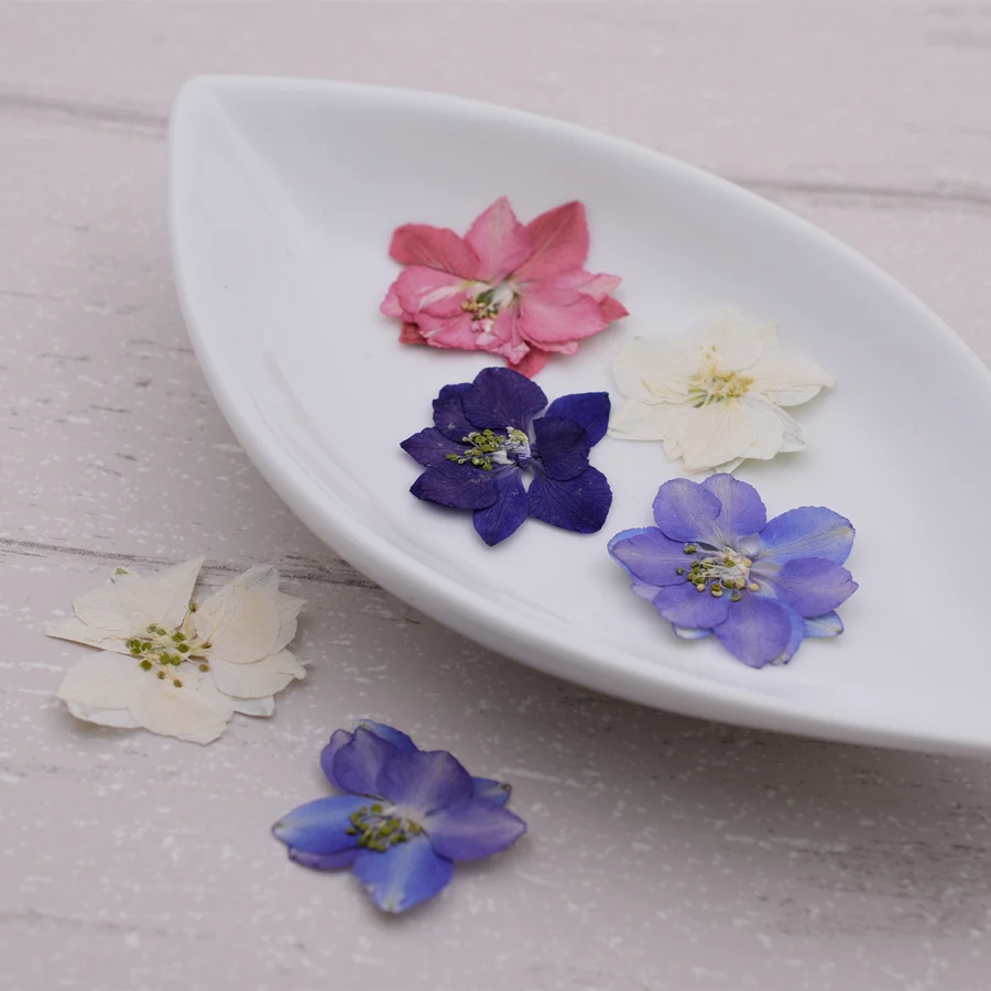 Натуральные сушеные цветы Gaura lindheimeri 50 шт. DIY прессованный гербарий декоративные