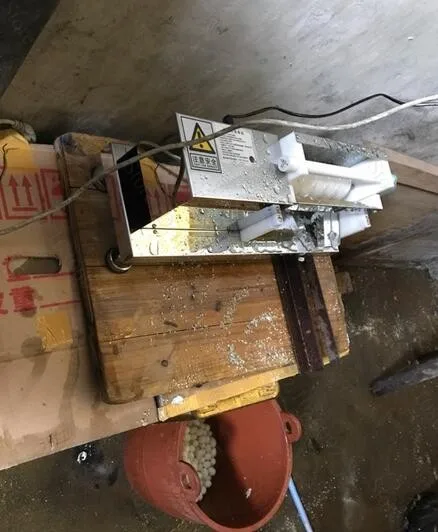 Профессиональная машина для очистки Перепелиных яиц от кожуры электрическая