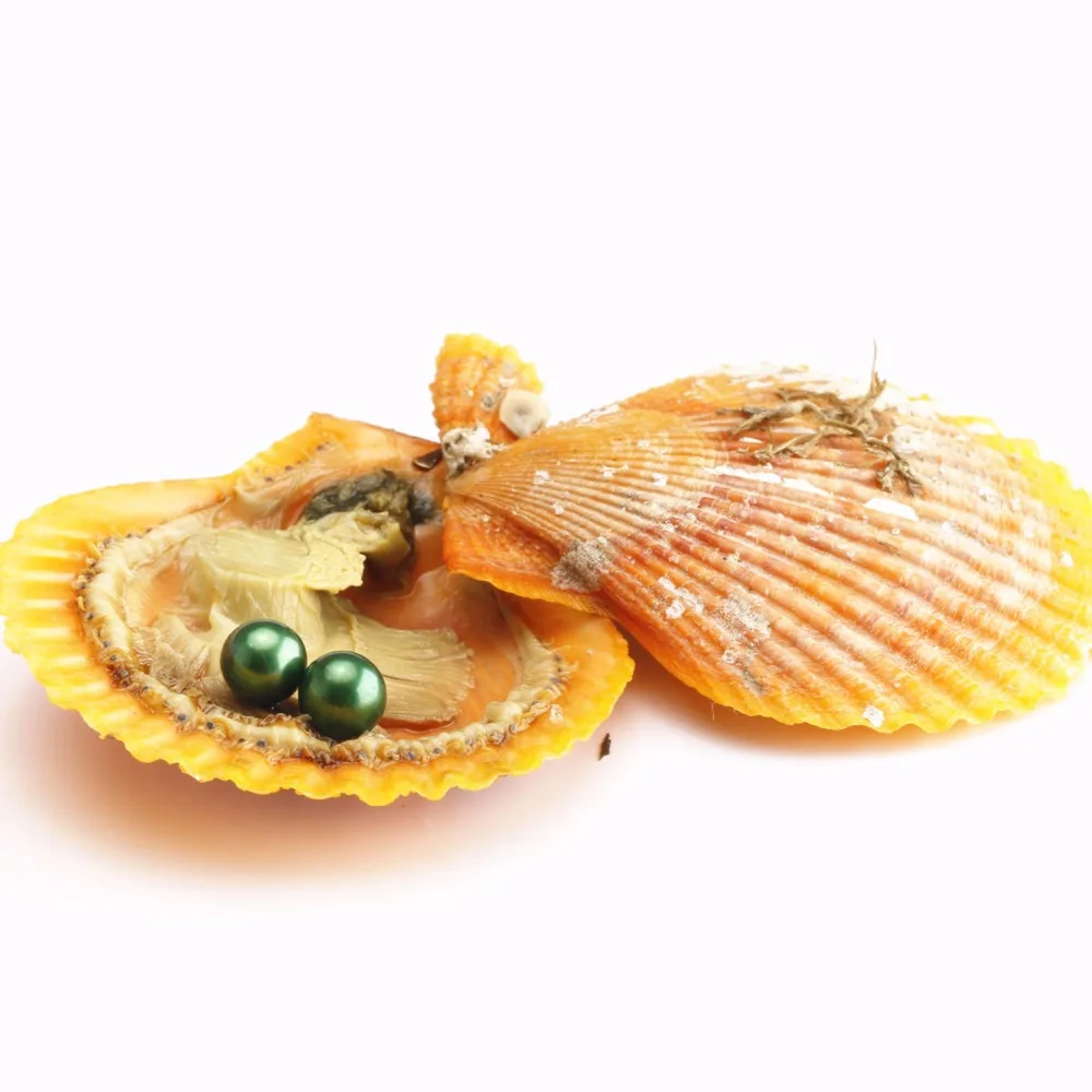 10 шт. 6 8 мм двойной круглый жемчуг Одинаковые цвета в фестоне akoya красные oysters