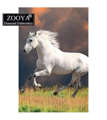 Zooya полный квадратный алмаз 5D DIY алмазной живописи &quotБелая лошадь Бег&quot Вышивка