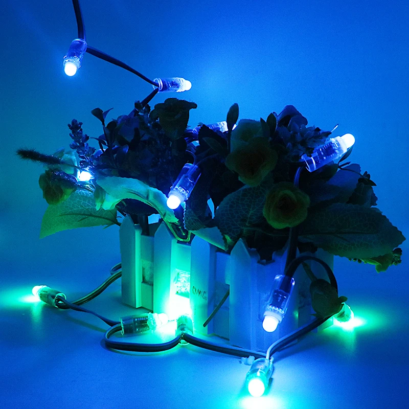 

SZYOUMY 12MM WS2811 Pixel LED Module IP67 Waterproof DC 5V Full Color RGB Addressable LED String Lights 15cm Wire 1000PCS