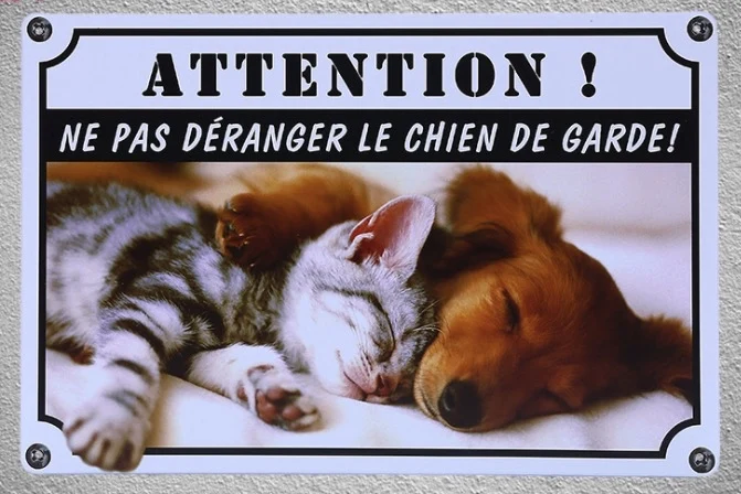 

1 pc French Do not disturb dog chien de garde jardin Tin Plate Sign wall plaques house Decoration Dropshipping metal Poster