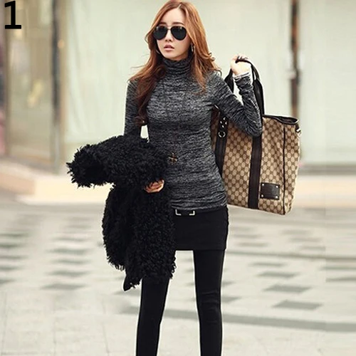 Fashion Lady Turtleneck Long Sleeve Jumper Sweater Knitwear Shirt Autumn Top |