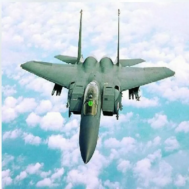 Бесплатная доставка спортивные хобби 2 4 ГГц Φ Jet F15 радиоуправляемый самолет RTF