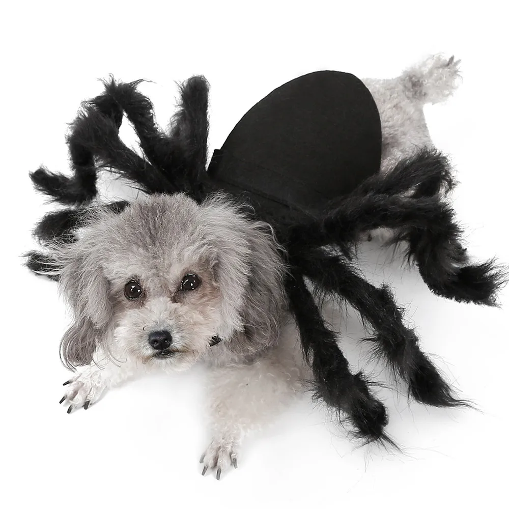 

Halloween Dog Costumes for Small Dogs Spider Dog Dressing Up Clothes Horror Long Fur Legs Funny Costume for Cat Chihuahua Yorkie