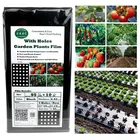 Пленка для мульчирования садовых растений, 10 м х 95 см, 5 отверстий, сельскохозяйственные овощи, черная, перфорированная, пластиковая