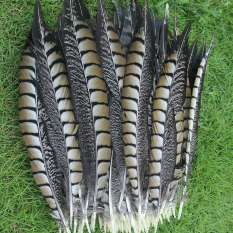 

Free shipping 50Pcs/Lot lady amherst pheasant tail feather 20-25cm 8-10 inch pheasant feather for crafts accessory