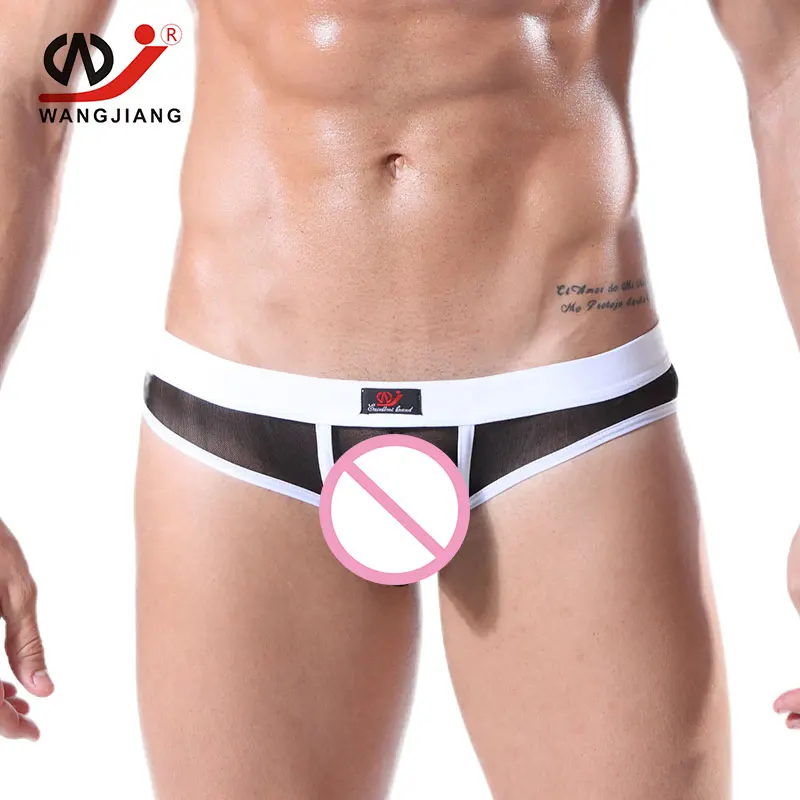 Transparent Mens Sexy Gay Underwear Breathable Nylon Briefs Slip Men Ropa Interior Hombre Silk Bikini 2004SH |