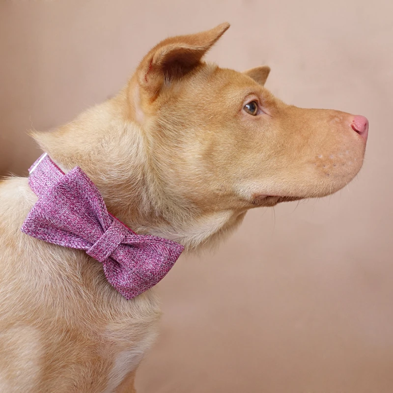 MUTTCO прогулочный тренировочный поводок для собак маленьких средних и больших