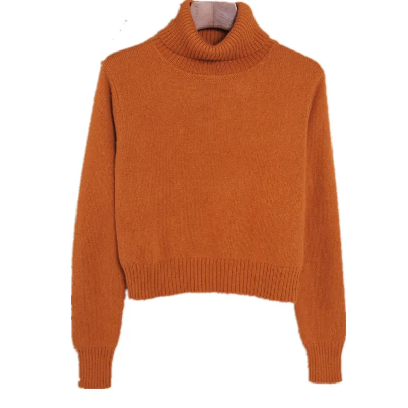 2018 Fashion Women Turtleneck Knitted Cashmere Sweater Female Short Pullovers Long-Sleeved Warm Free Shipping | Женская одежда
