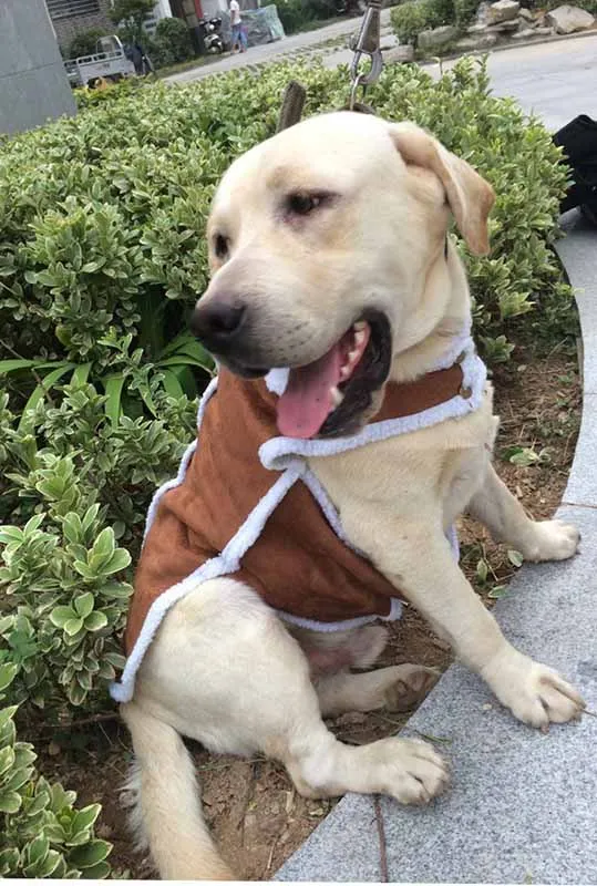 Жилет для больших собак Роскошная Одежда питомцев из оленьей кожи пальто