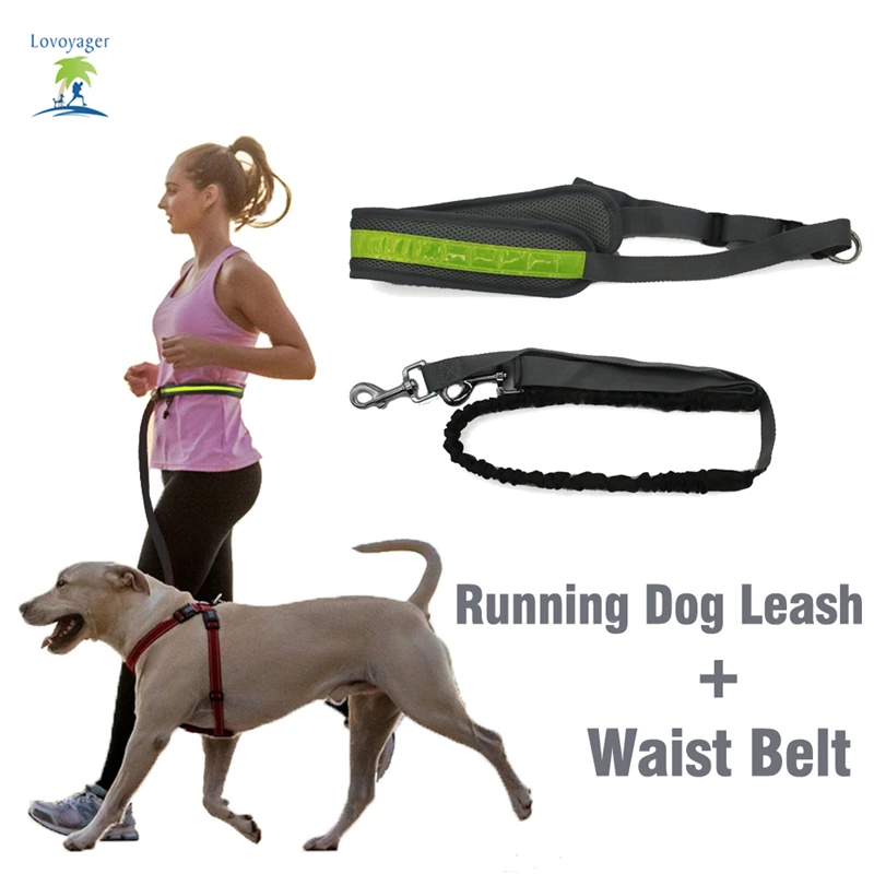 

Hands Free Dog Leash Florescent Light Waist Belt For Running Walking Hiking Elastic Bungee Dog Leash With Adjustable Belt