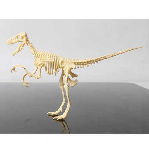 3 Детские игрушки пластиковый 3D Скелет Трицератопс/Стегозавр/Велоцираптор/Мамонт DIY Собранные модели динозавров для детей набор игрушек - Цвет: 3