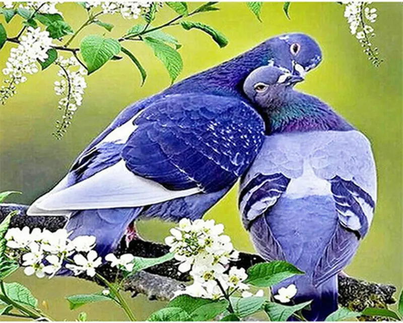 Full square diamond 5D DIY painting &quottwo pigeons&quot rhinestone mosaic art handmade embroidery cross-stitch bird | Дом и сад