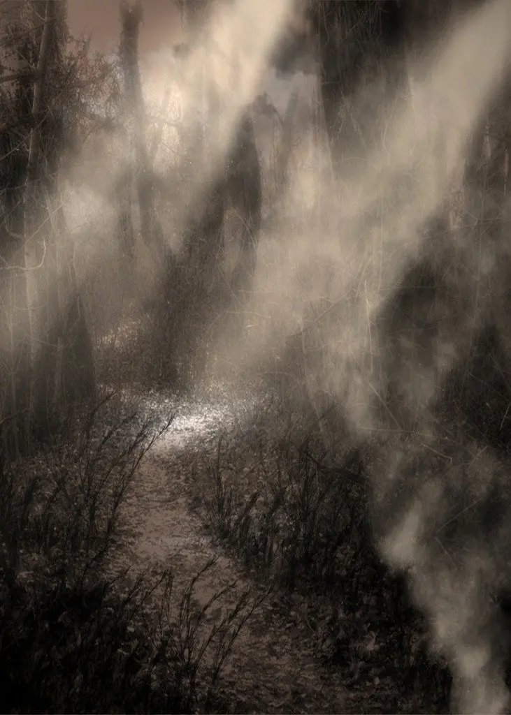 Фон для фотосъемки Хэллоуин оригинальный дизайн|halloween background|photo backdrop halloweenbackdrop